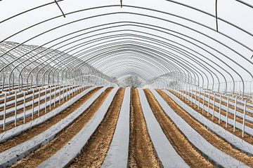 Frame of a greenhouse and fields with growing vegetables