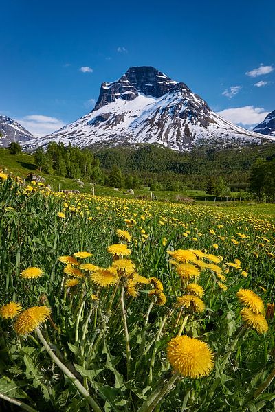 View of the Innerdalen valley, Norway by qtx