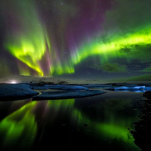 IJsbergen en noorderlicht: Jökulsárlón (IJsland) (vierkant)