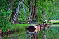 Spreewald-Impression 3.0 von Ingo Laue Miniaturansicht