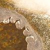Frosty art van Birgitte Bergman