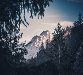 Sommet de montagne sur Alexander Dorn