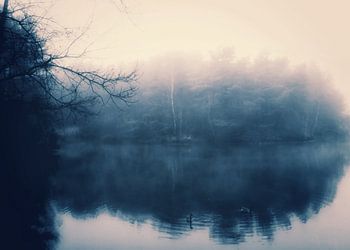 bestellen in verschillende kleuren