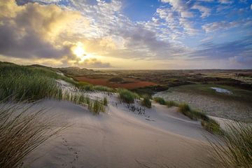 Terschelling Boschplaat by Dirk van Egmond