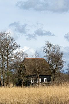 kleine Hütte von Sebastian Stef