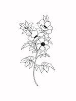 Illustratie van bloemen en bladeren