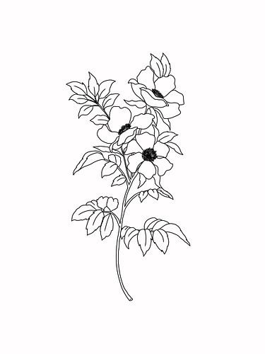 Illustratie van bloemen en bladeren van KPstudio