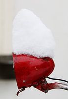Rode koplamp met sneeuwhoed