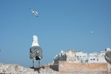 Turned my back to you by Marije van den Wijngaard