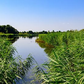 Limburg Serenity: Hügellandschaft von Kristof Leffelaer