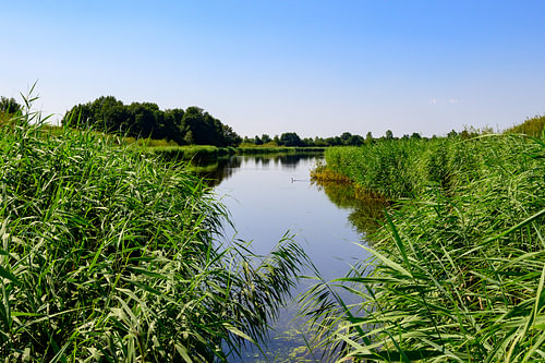 Limburgse Sereniteit: Glooiend Landschap