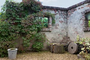 oude muur begroeid met planten