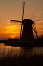 Silhouet van Albert Mendelewski thumbnail