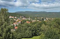 Spa Bad Sachsa in het Harz gebergte van Peter Eckert thumbnail