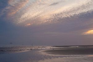 Sonnenaufgangstrand Schiermonnikoog