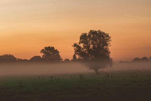 Lever de soleil dans la réserve naturelle Bourgoyen-Ossemeersen Gand