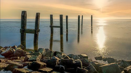 Oude steigerpalen in de Waddenzee bij Hoorn-Terschelling.