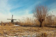 Molen nabij Lexmond, Nederland van Peter Bolman thumbnail