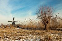 Windmühle in der Nähe von Lexmond, Niederlande