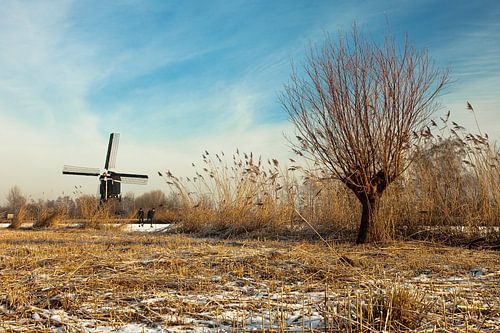 Windmill near Lexmond, The Netherlands by Peter Bolman
