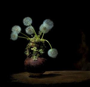 Stilleben mit Löwenzahnblüte .