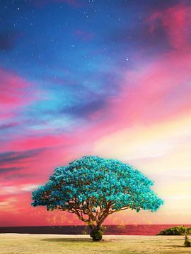 Turquoise boom tegen een kleurrijke hemel van Jonas Potthast
