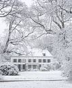 Winterwonderland op Landgoed Nieuw-Amelisweerd van Arthur Puls Photography thumbnail