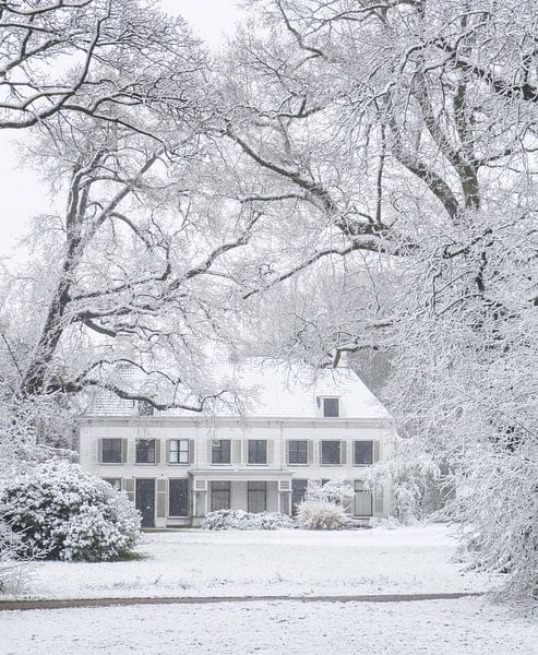 Winterwonderland op Landgoed Nieuw-Amelisweerd van Arthur Puls Photography