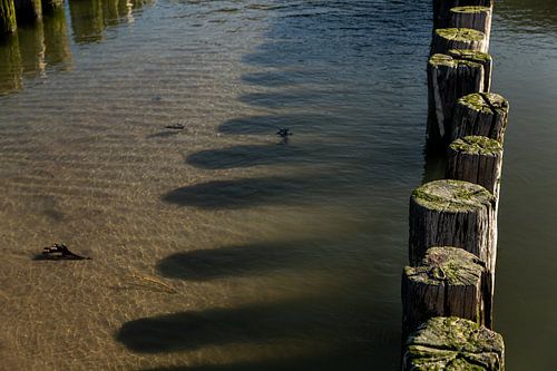 Schaduw strandpalen in het water 3