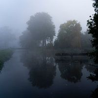 Nebel