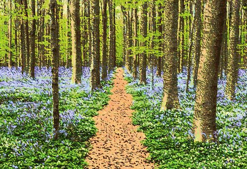 Beukenbos met paadje en wilde hyacinten