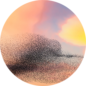 Grote groep spreeuwen tijdens zonsondergang in de lucht