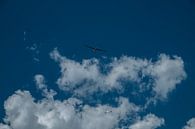 Zweefvliegtuigen in de lucht van Martijn van den Hil thumbnail
