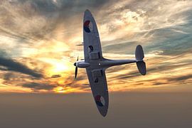 Supermarine Spitfire von Brian Morgan