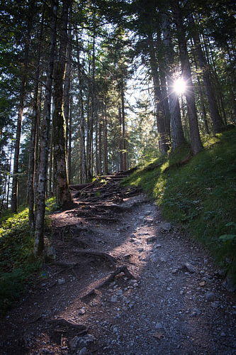 Wandern macht Glücklich