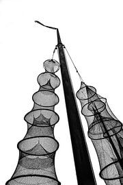 fuiken aan de droogpaal van Bert ten Brink