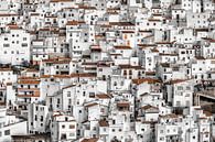 Das weiß getünchte Dorf Casares in Andalusien. von Wout Kok Miniaturansicht