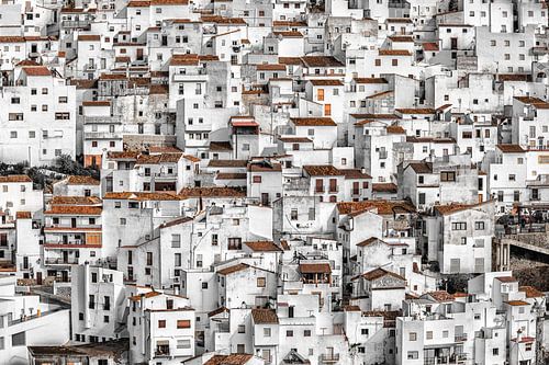 Het witte dorp Casares in Andalucia.