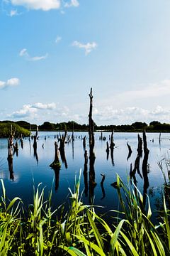 De Alde Feanen. van PEEQ.