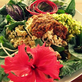 A raw vegan food plate von Daphne Wessel