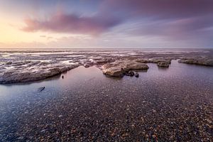 Schelpen en modder aan de Friese Waddenkust