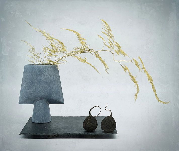 Stilleben mit Spargelzweig und Bärlauchesche . von Saskia Dingemans Awarded Photographer