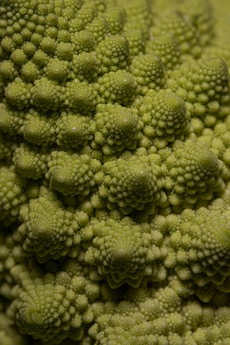 Fractoli (Romanesco)