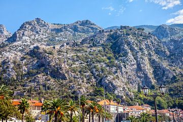 Berge und Festung hinter Kotor (Montenegro)