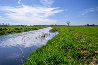 Betoverend Limburgs natuurlandschap: HDR foto van hoogwater en weelderig groen van Kristof Leffelaer thumbnail