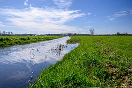 Betoverend Limburgs natuurlandschap: HDR foto van hoogwater en weelderig groen van Kristof Leffelaer