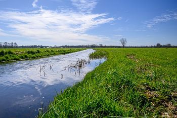 Enchanting Limburg natural landscape: HDR photo of high tide and lush greenery
