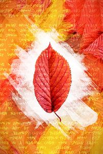 Autumn leaves Red
