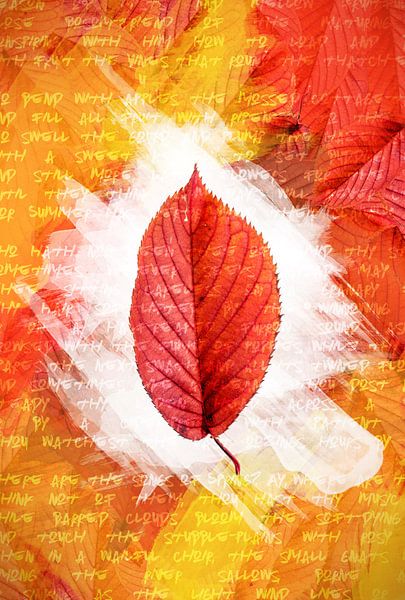 Herbstblätter Rot von Sharon Harthoorn