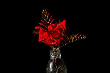 Rode Bloemen in glazen fles van Rene de Werker